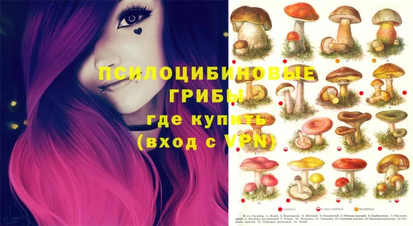 стафф Алексеевка