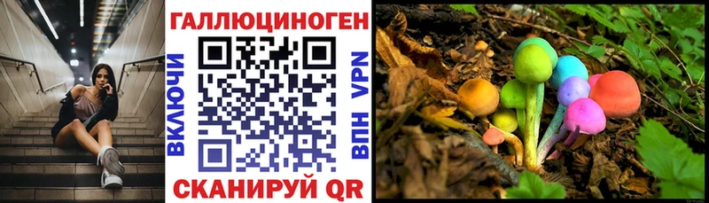 Псилоцибиновые грибы Cubensis  Нижний Тагил 